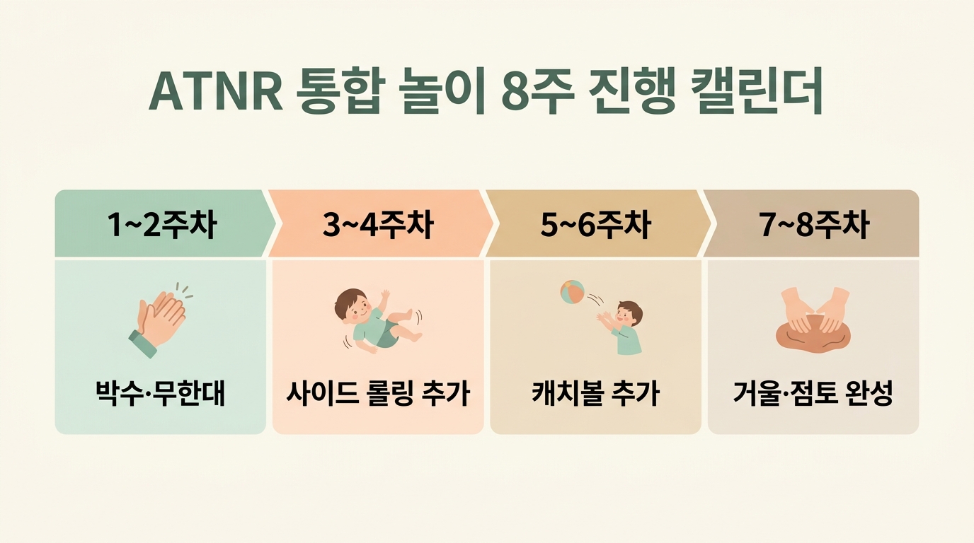 ATNR 통합 놀이 8주 진행 캘린더 1주차 박수와 무한대 2주차 사이드 롤링 3주차 캐치볼 단계별 체크포인트 한글 라벨 일정표 인포그래픽