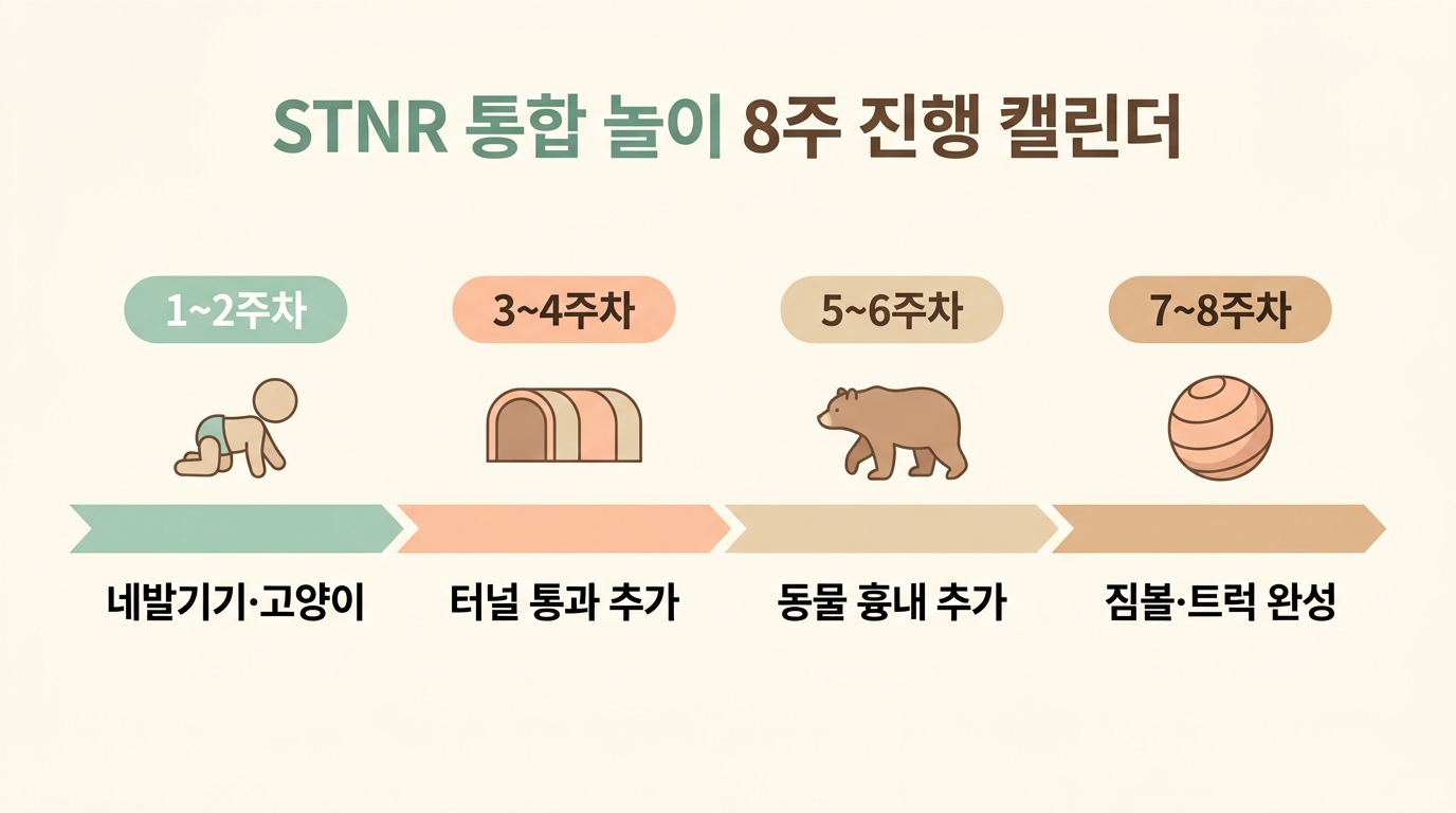 STNR 통합 8주 진행 캘린더 주차별 네발기기 고양이 자세 터널 동물 흉내 짐볼 단계별 체크포인트 한글 라벨 일정표 인포그래픽
