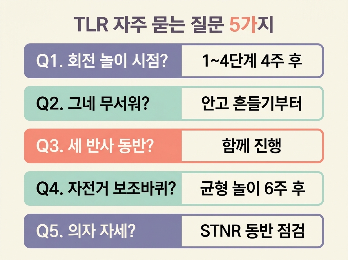 TLR 잔존 자주 묻는 질문 5가지 핵심 답변 정리 멀미 회전 그네 자전거 의자 자세 한글 라벨 Q&A 인포그래픽