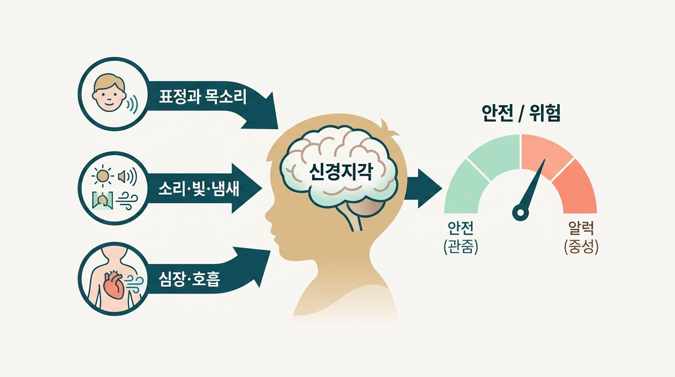 표정과 목소리 환경 내부 감각 세 가지 단서를 읽어 안전과 위험을 판단하는 신경지각의 작동 원리를 그린 인포그래픽