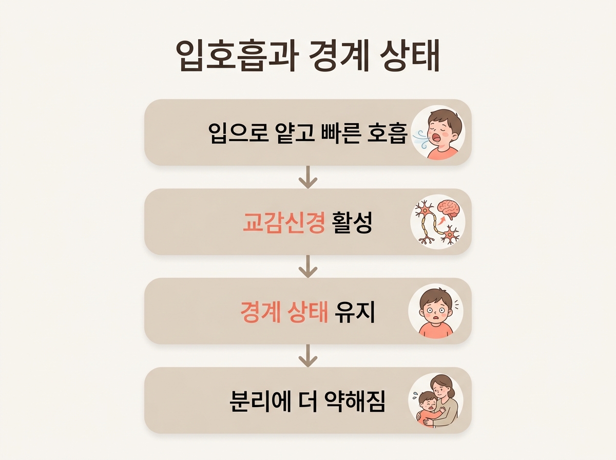 입으로 숨쉬는 아이가 경계 상태에 머물러 분리에 더 약해지는 과정을 단계별로 보여주는 신경계 메커니즘 다이어그램