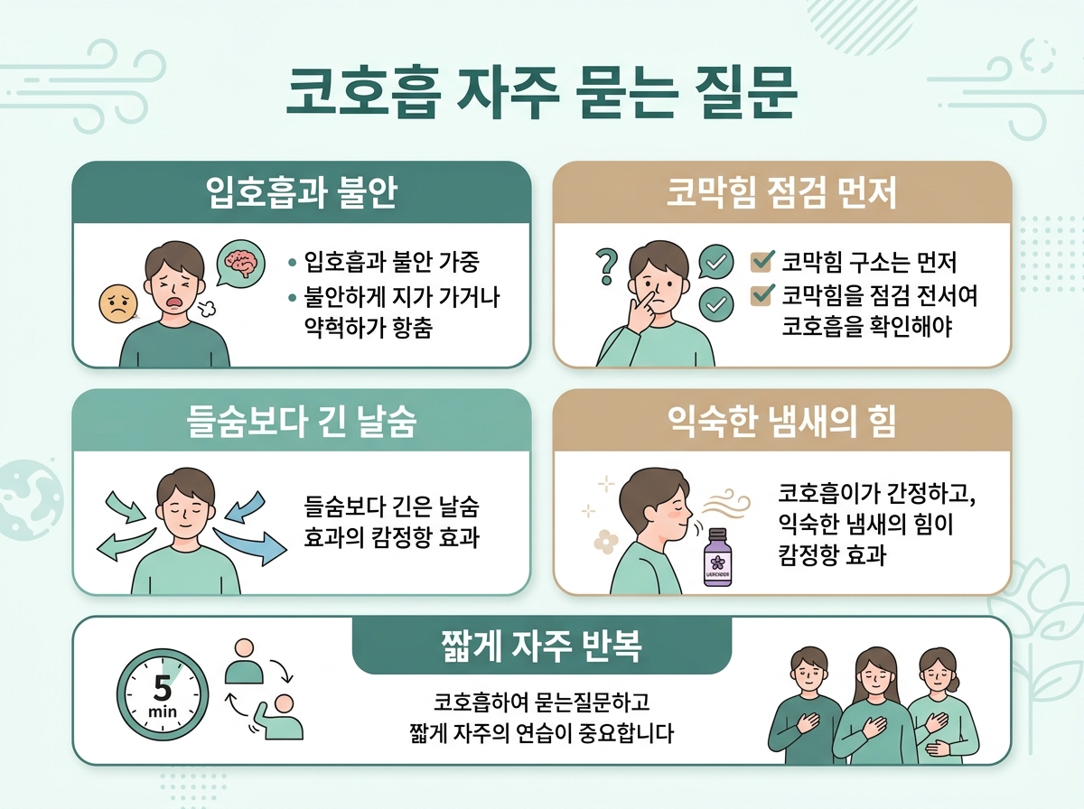 입호흡과 불안의 관계 코막힘 심호흡 후각 등 자주 묻는 질문 다섯 가지를 정리한 카드형 인포그래픽