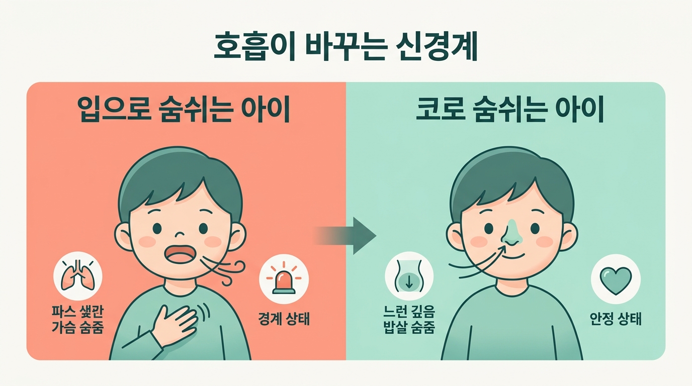 입으로 숨쉬는 아이가 더 불안한 이유, 코호흡으로 분리불안 진정시키기