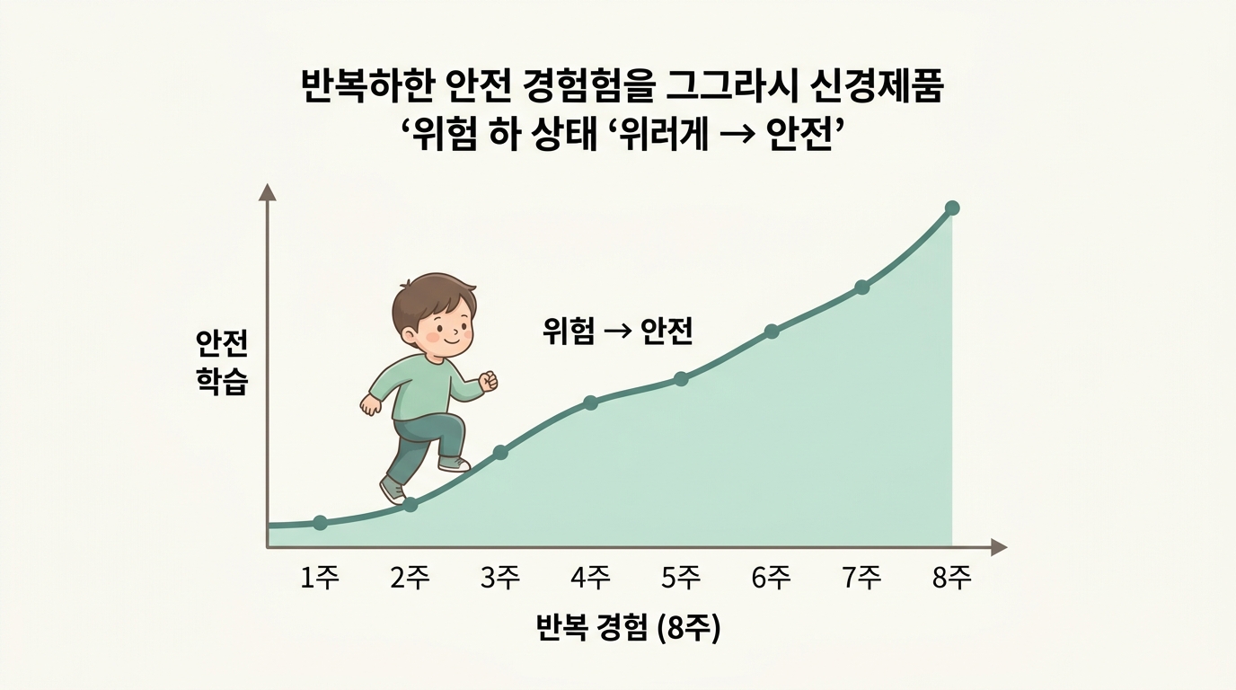 반복된 안전 경험이 쌓이며 신경계가 위험을 안전으로 다시 학습하는 8주간의 적응 곡선을 그린 인포그래픽