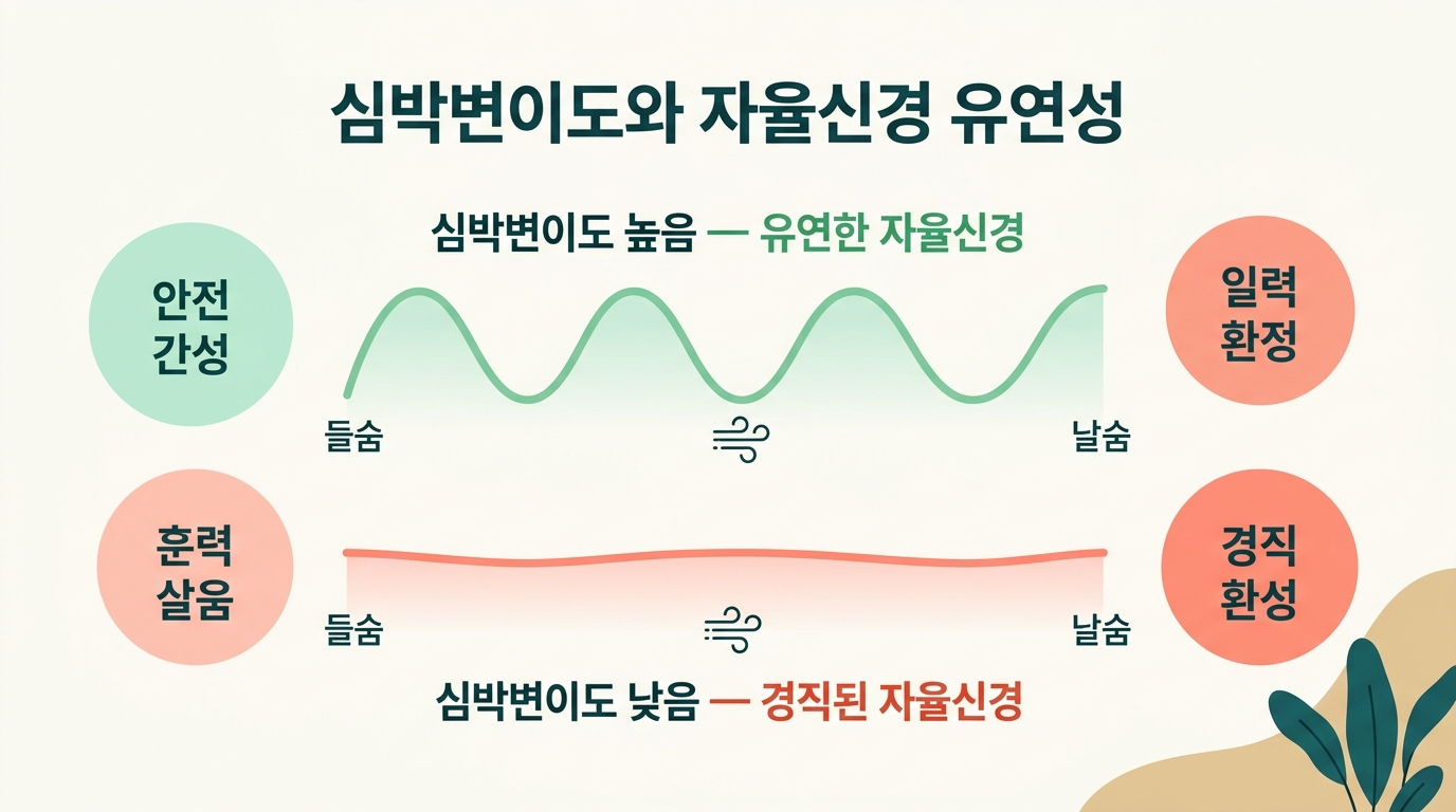 심박변이도가 높은 유연한 자율신경과 낮은 경직된 자율신경의 심박 곡선 차이를 호흡과 함께 보여주는 다이어그램
