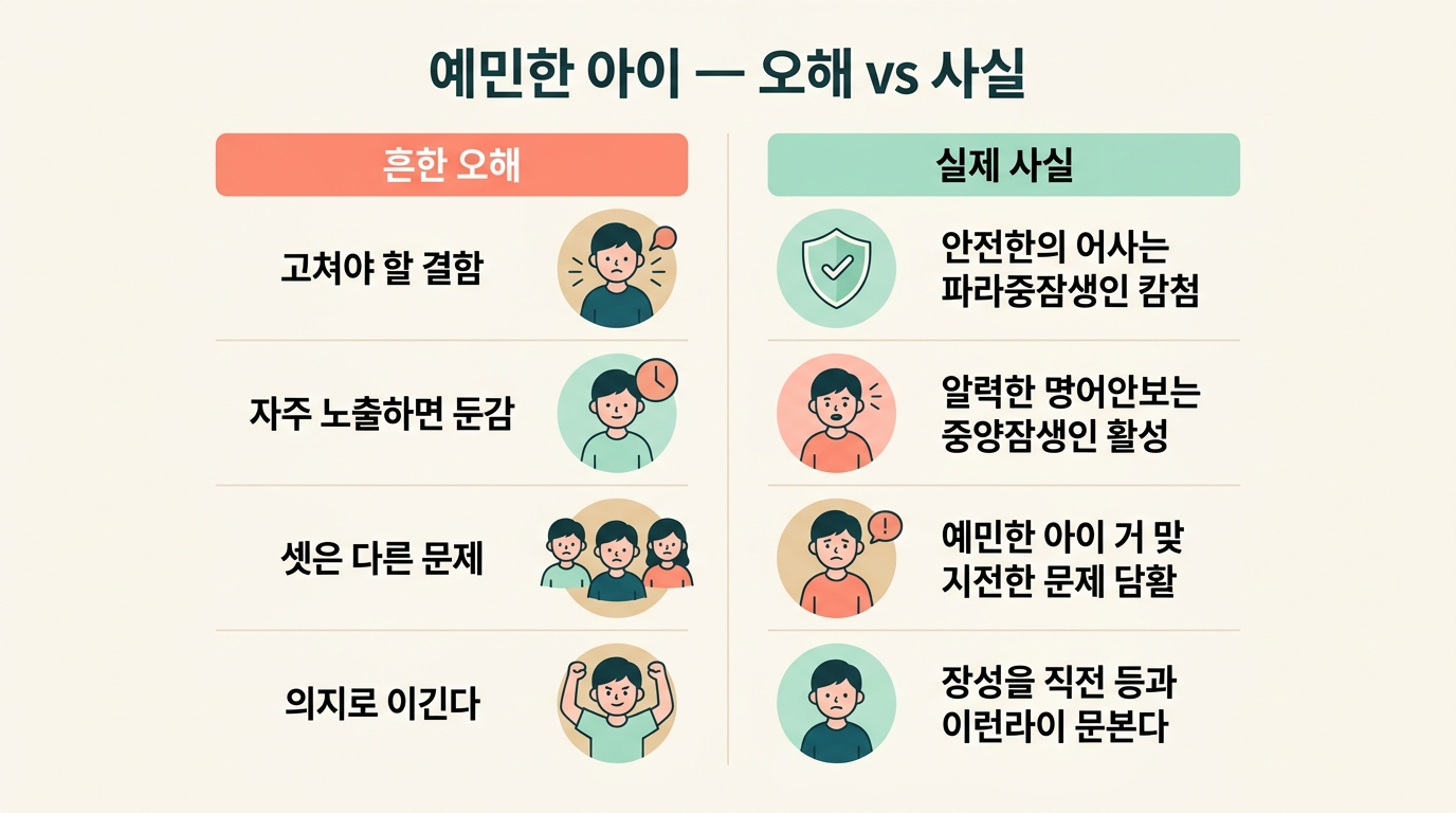예민한 아이에 대한 흔한 오해 네 가지와 실제 사실을 좌우로 나눠 비교한 인포그래픽