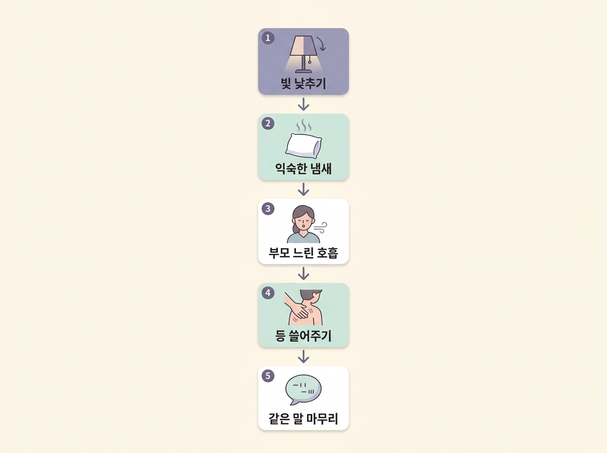 빛 낮추기 익숙한 냄새 부모 호흡 등 쓸어주기 같은 말로 이어지는 잠들기 전 10분 진정 5단계 플로우 차트