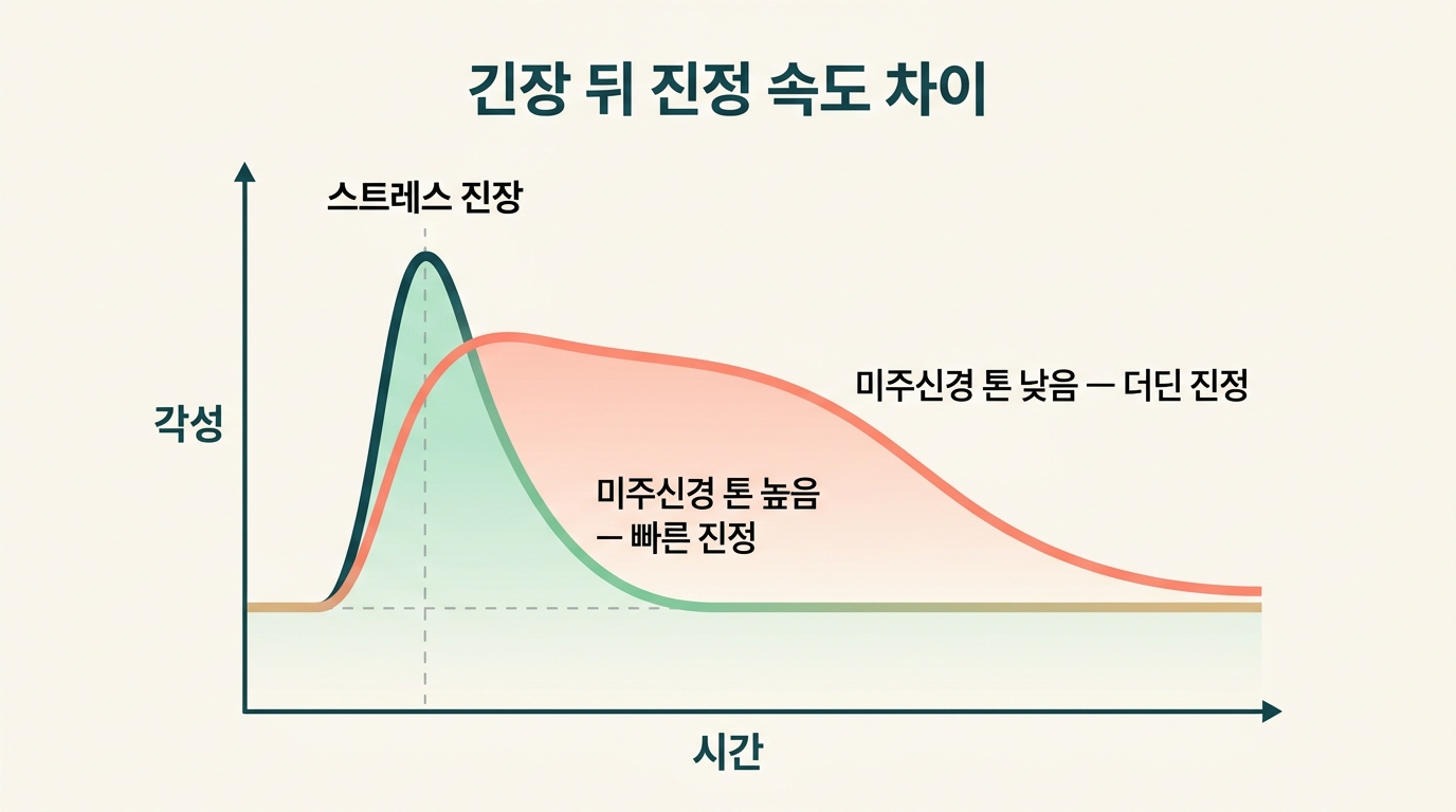 미주신경 톤이 높은 아이와 낮은 아이가 같은 긴장 뒤 진정으로 돌아오는 속도 차이를 곡선으로 비교한 인포그래픽