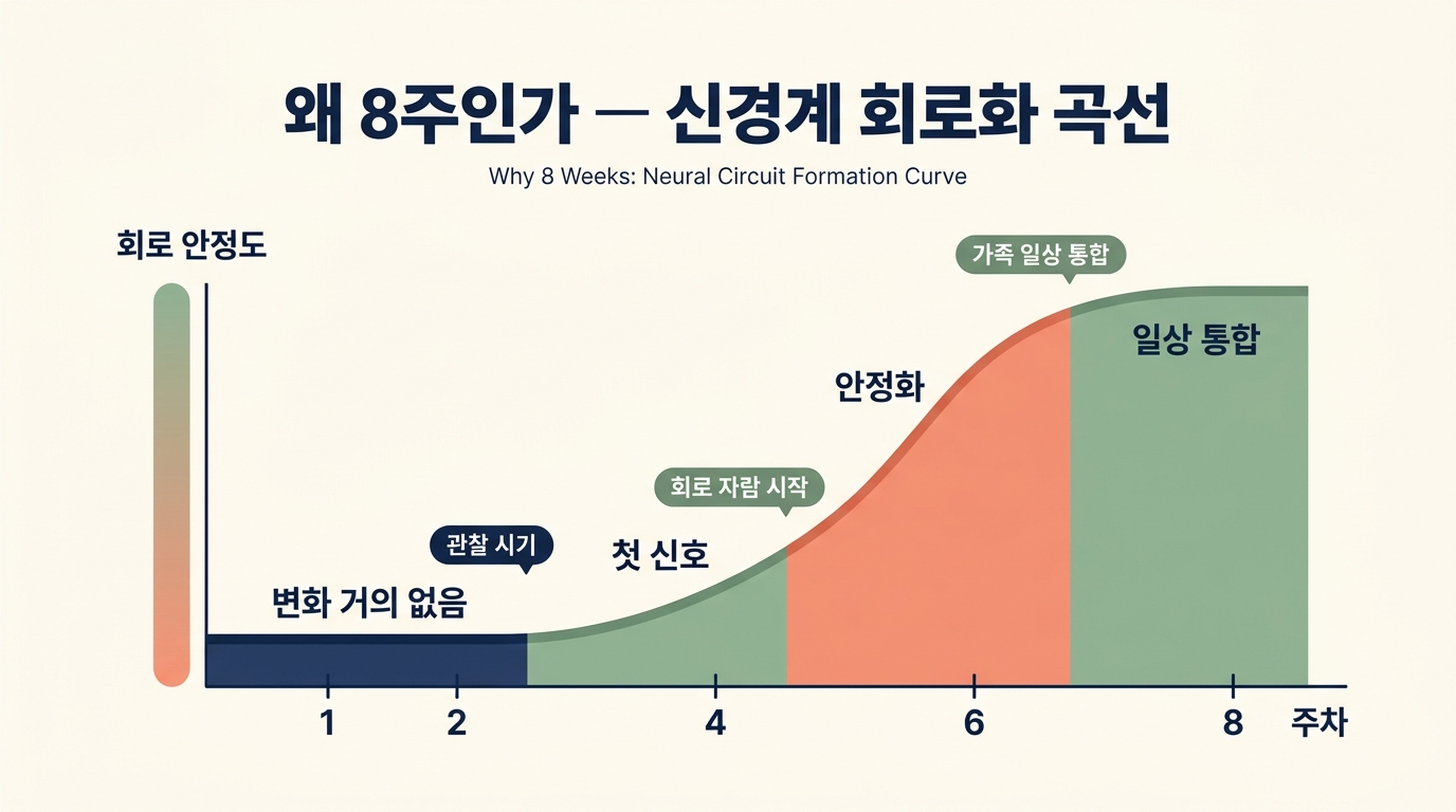 8주 가정 신호 회복 회로화 곡선 1주 4주 6주 8주 변화 단계 다이어그램