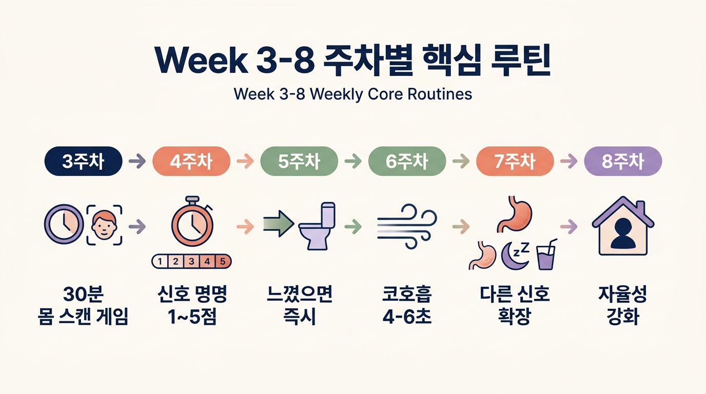 Week 3-8 주차별 핵심 루틴 단계 플로우 차트 인식 연결 통합
