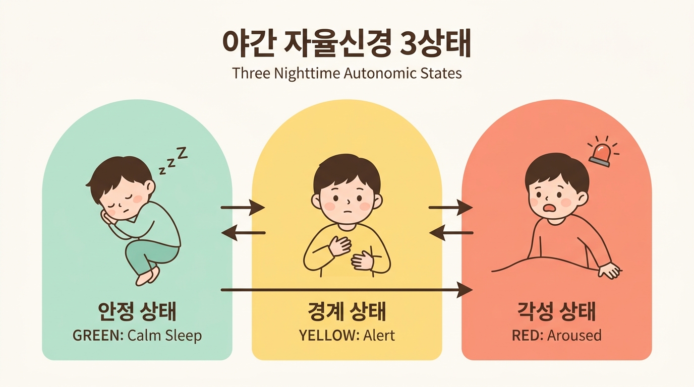 야간 자율신경 안정 경계 마비 3존 비교 일러스트