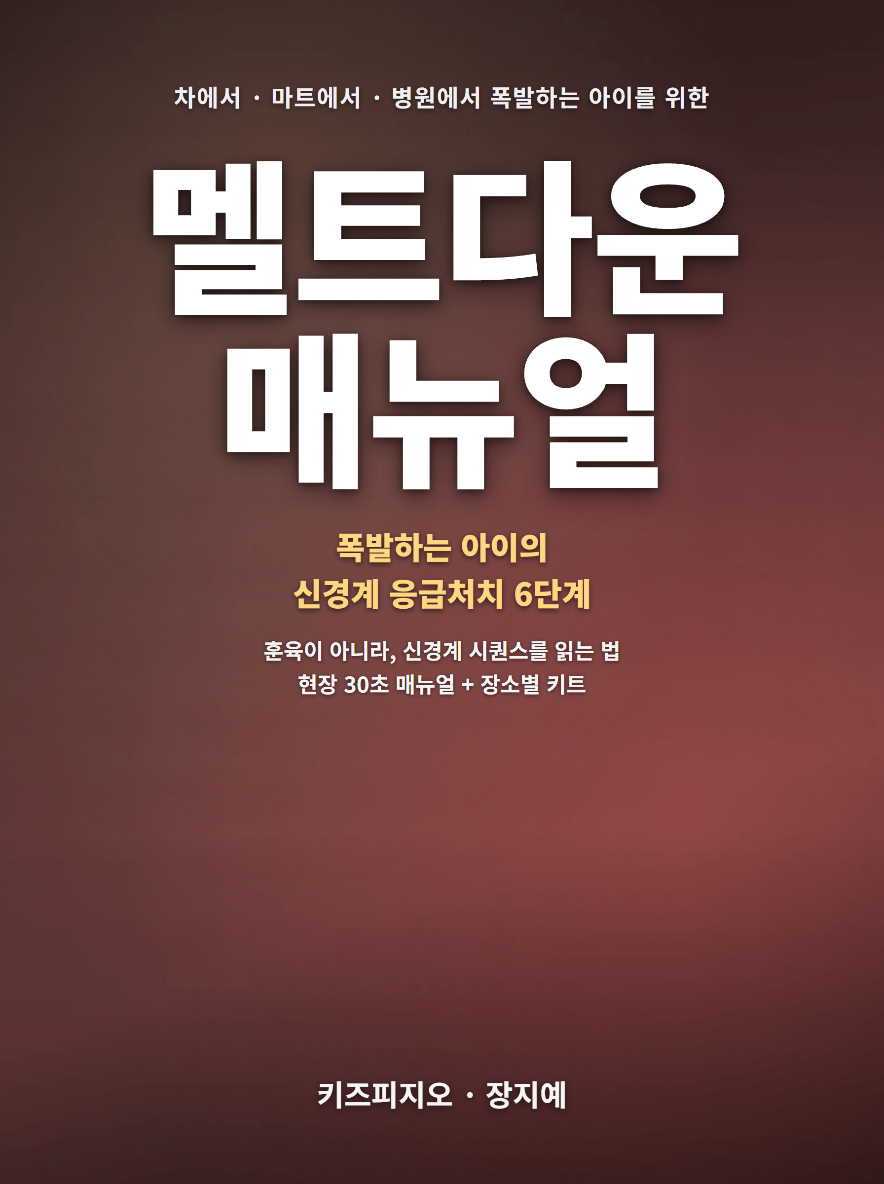 멜트다운 매뉴얼